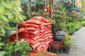 复合肥涨100元、尿素涨破2900元，后期化肥还涨吗？化肥涨势太猛图片