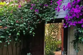 修行最终是为了不修？图片