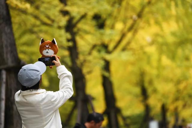 南明区：初冬时节好风景