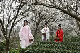 闲聊《西游记》第十四集：菩提祖师为何把孙悟空恶狠狠地逐出师门图片