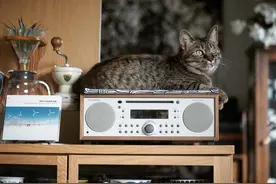 一体式HiFi音箱测评 | Tivoli Audio MSYBT：氛围感家庭音箱天花板图片