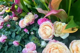 度娘都搜不到的走心句子，总有一句适合你，收藏起来图片