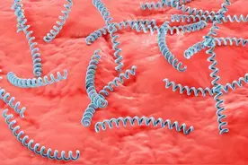 得了梅毒有什么症状？身上会痒吗？梅毒能治愈吗？早了解早受益图片