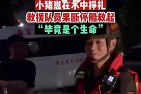 小猪崽水中挣扎救援队果断停船救起：毕竟是个生命图片