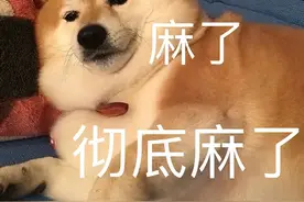 一款意外险，覆盖的超全面图片