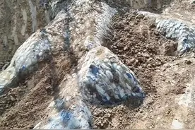 湖南邵阳发现疑似真龙“结界”图片