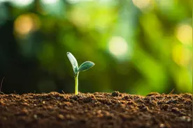 学科育人价值的实现途径图片