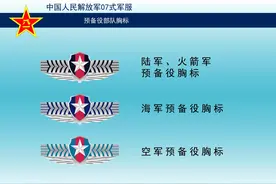 预备役配饰一览，了解一下图片