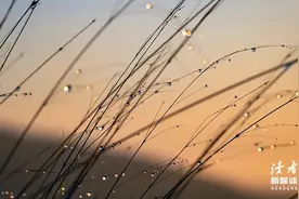 ​成年人顶级的自律：读书，存钱，运动图片