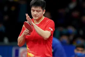 顶级乒乓球运动员都用什么球拍，快来看看你适合哪种？图片