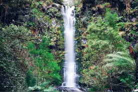 手机终于出ND镜了！这个长曝光小神器，可惜苹果不能用图片