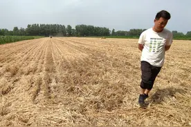 干旱天气，可以先播种玉米等雨吗？农技人员：要看3种情况图片