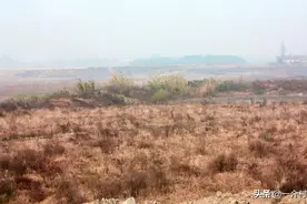 耕地统一耕种，每月给农民发1000元，能解决3大问题！可行吗？图片