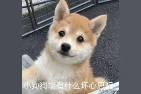 广西家长速看！多地中小学暑假放假时间公布，还有这件事→图片