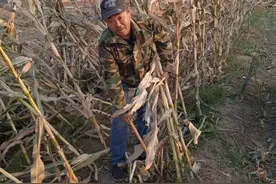 河北好人｜河北滦南庄稼汉一天连救三条生命图片