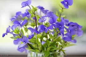 易经：一个人，守住自己的势，迟早会发达图片