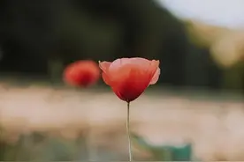 除了生理需要，男人更渴望这三种东西，跟大多数女人想的不一样图片