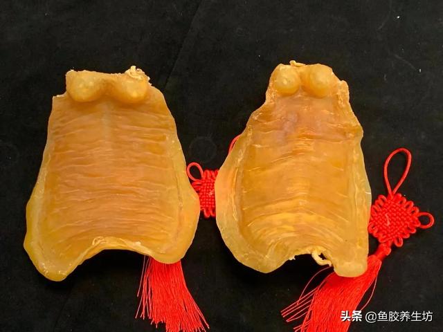 大口鳘鱼胶的功效 2026年大口鱼胶是什么 大口鳘鱼胶的功效 2026年大口鱼胶是什么