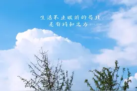 诗与远方杂议图片