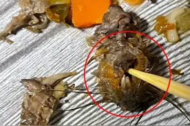 统一大跌10%， 方便面酸菜包中疑出现鼠头图片