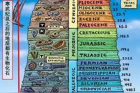 三颗心脏，九个大脑，却沦为烧烤摊常客，章鱼是天外来客吗？图片