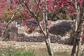 去世的奶奶梦里和我说的事情，竟然第二天应验了图片