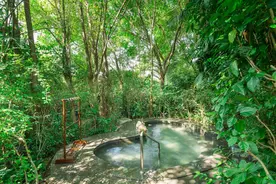 广东有哪些好的温泉？这10家经过认证的真温泉酒店你值得收藏图片