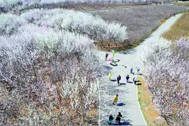 大连甘井子区这12处赏花地让人一见倾心图片