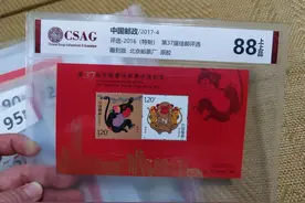 我的邮票评级之旅图片