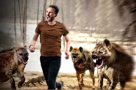 非洲20头鬣狗24小时内连吃2人，人狗大战爆发？在走我国的老路图片