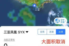 三亚实行临时性全域静态管理 机场航班已取消或不载客图片