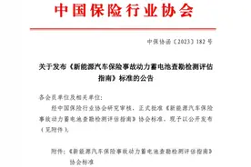 中保协发布动力电池损伤分级标准：四级损伤 可更换电池包图片