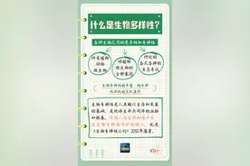 绿芽科普丨什么是生物多样性？图片