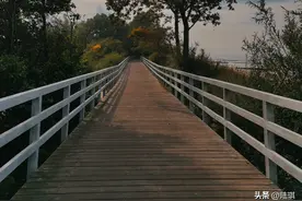 婚后我总因房子半夜大闹公婆家，老公忍无可忍要离婚图片