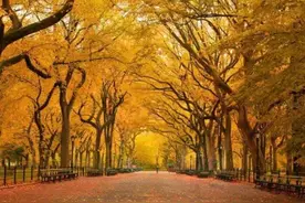 灵媒在中国又被称作为什么？图片