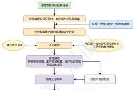 一文详解仿制药一致性评价研制生产现场检查工作图片