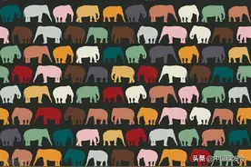 胡春梅：以大象的故事，谈谈动物表演背后的伤害图片