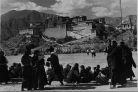 西藏解放前，农奴到底有多惨？低头爬行，命与牦牛同等图片