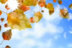 凡事“点到为止”，是一种高级的生活智慧图片