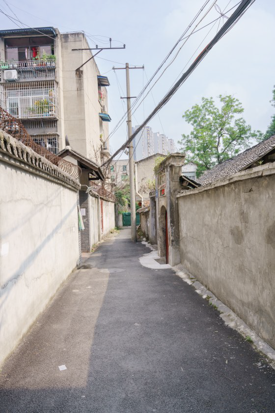 城市更新之温江探索：文化赋能老巷“蝶变新生”，文创街区焕发城市活力