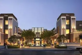 东原地产副总何虎专科毕业待遇不错：年薪393万元还有931.2万股份图片