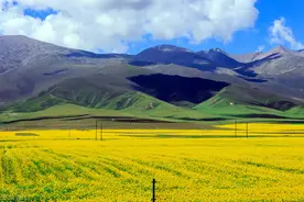 一个朋友经常这样对你，其实是她嫉妒你，请保持距离图片