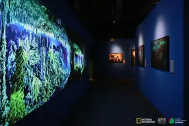 国家地理经典影像大展今日东郊记忆开幕图片