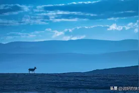 可可西里：中国最伟大的荒野图片