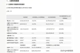出售资产净利占比171% 合力泰收函：转让盈利资产是否存其他原因图片