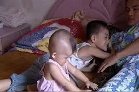 96年海南巨蟒通灵性报恩：与主人同眠，甘愿当“保姆”图片