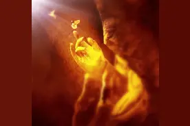 命里有时终须有 命里无时莫强求图片