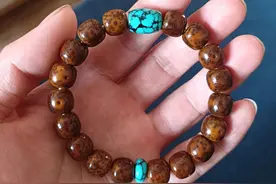 一条普货星月的蜕变图片