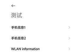 小米手机的神秘代码图片