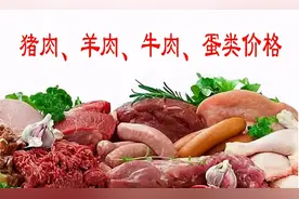 2022年3月11日北京新发地猪肉羊肉牛肉鸡蛋价格图片